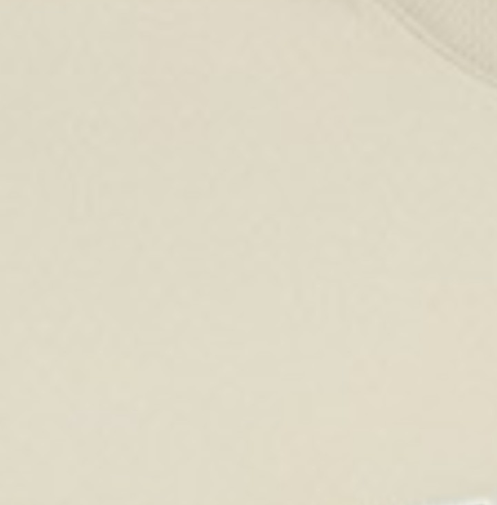 Solid beige color swatch