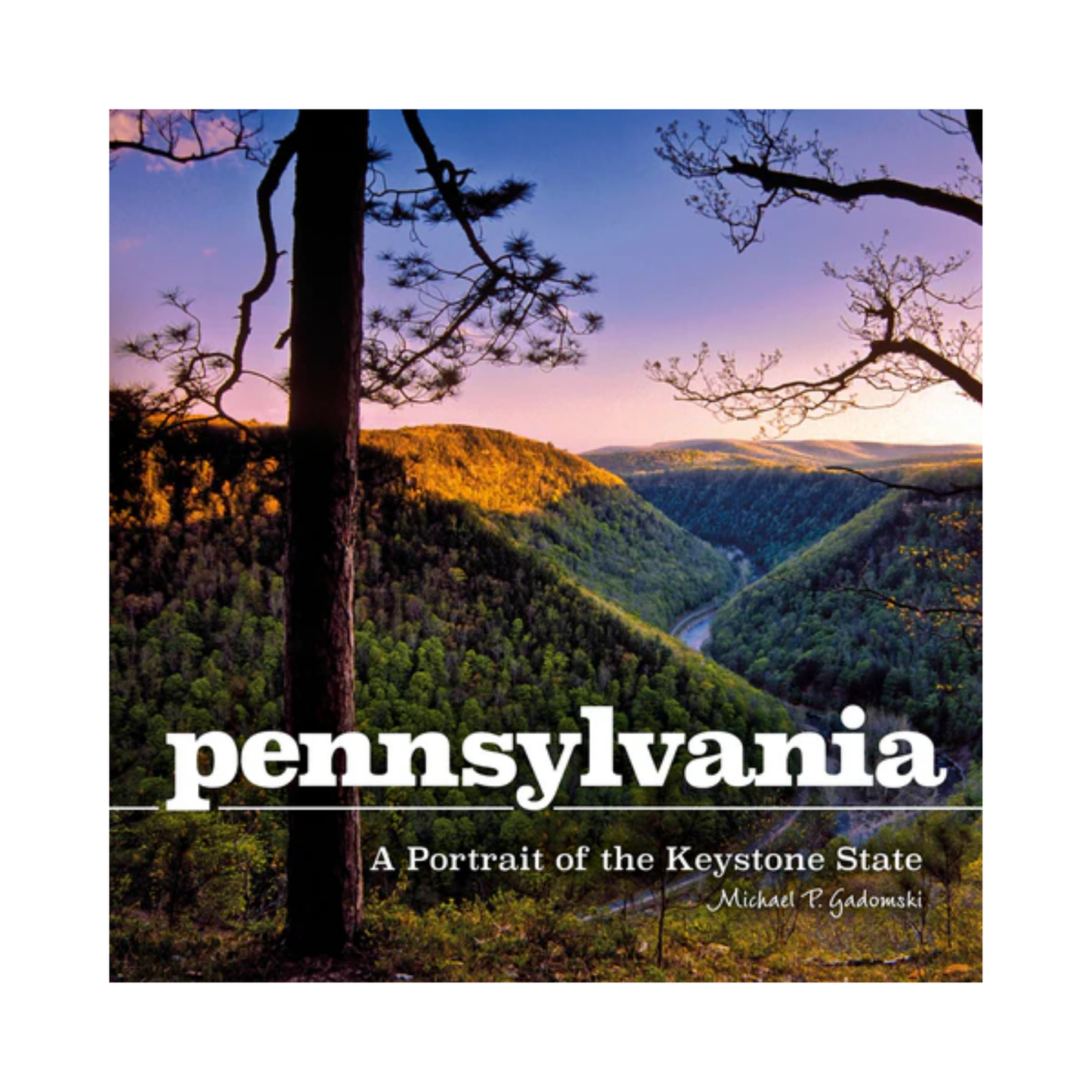 Book cover of 'Pennsylvania: A Portrait of the Keystone State' with a scenic view of trees and mountains.