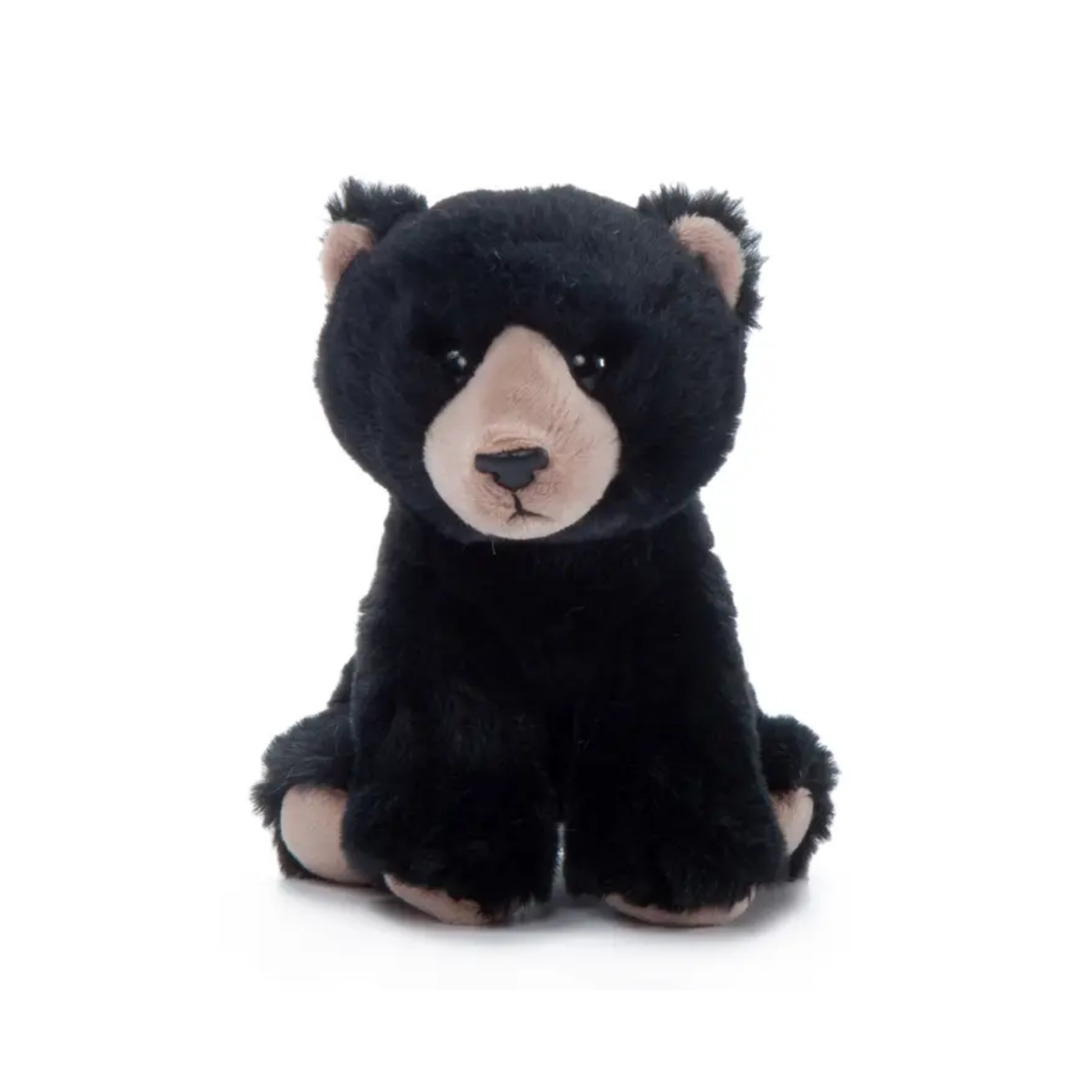 Pennsylvania plush black bear toy on a white background