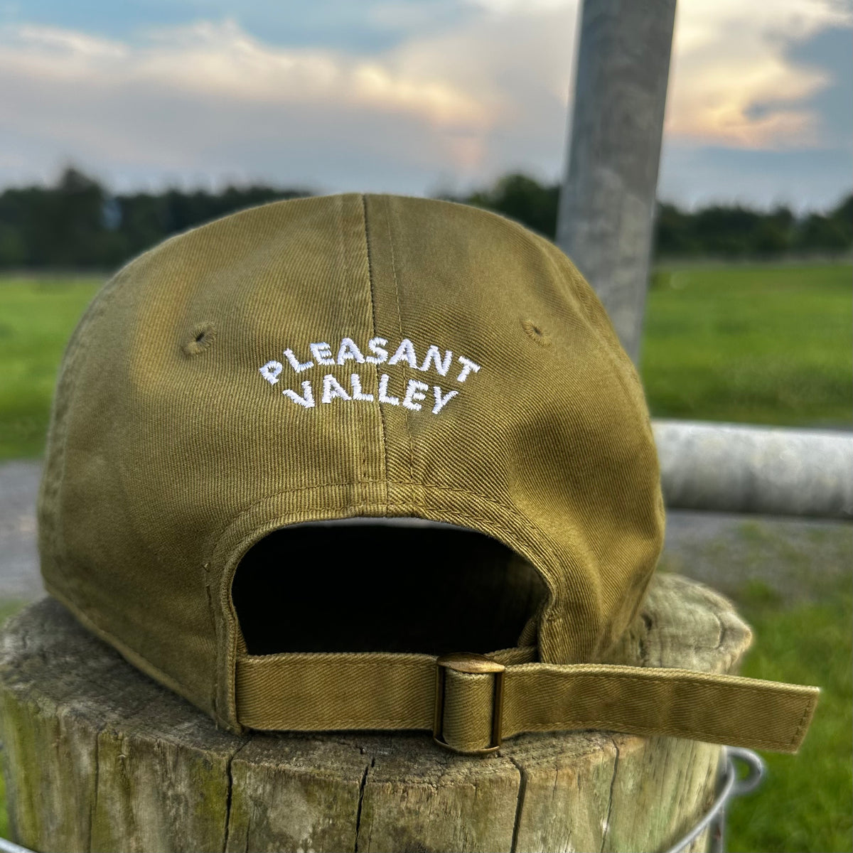 It Takes a Valley™ Pleasant Valley Dad Hat | Eco-Friendly