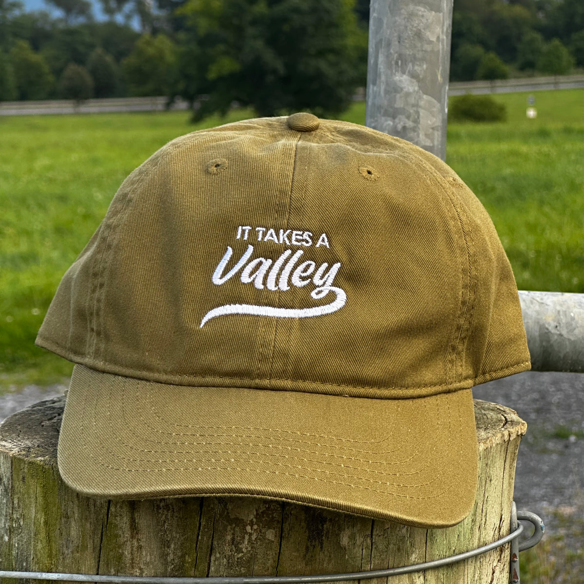 It Takes a Valley™ Pleasant Valley Dad Hat | Eco-Friendly