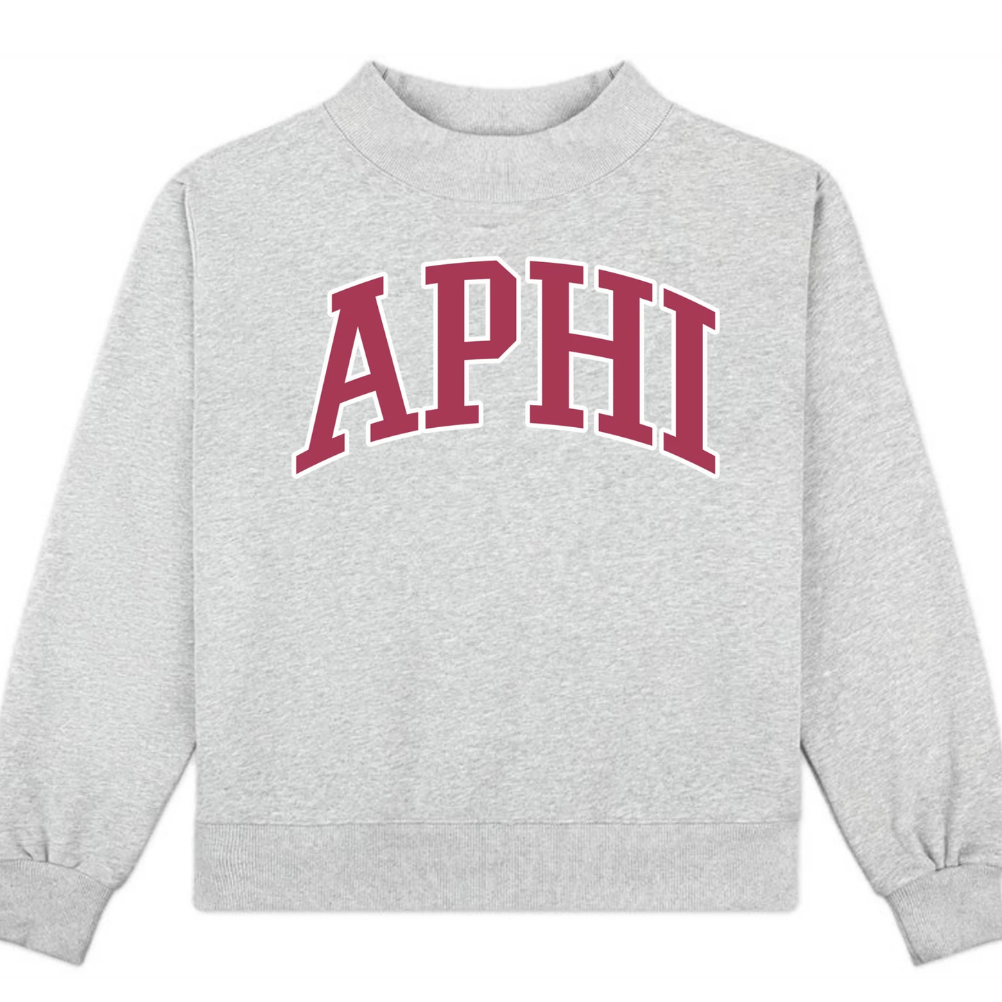 Gray sweatshirt with 'APHI' printed in red on a white background