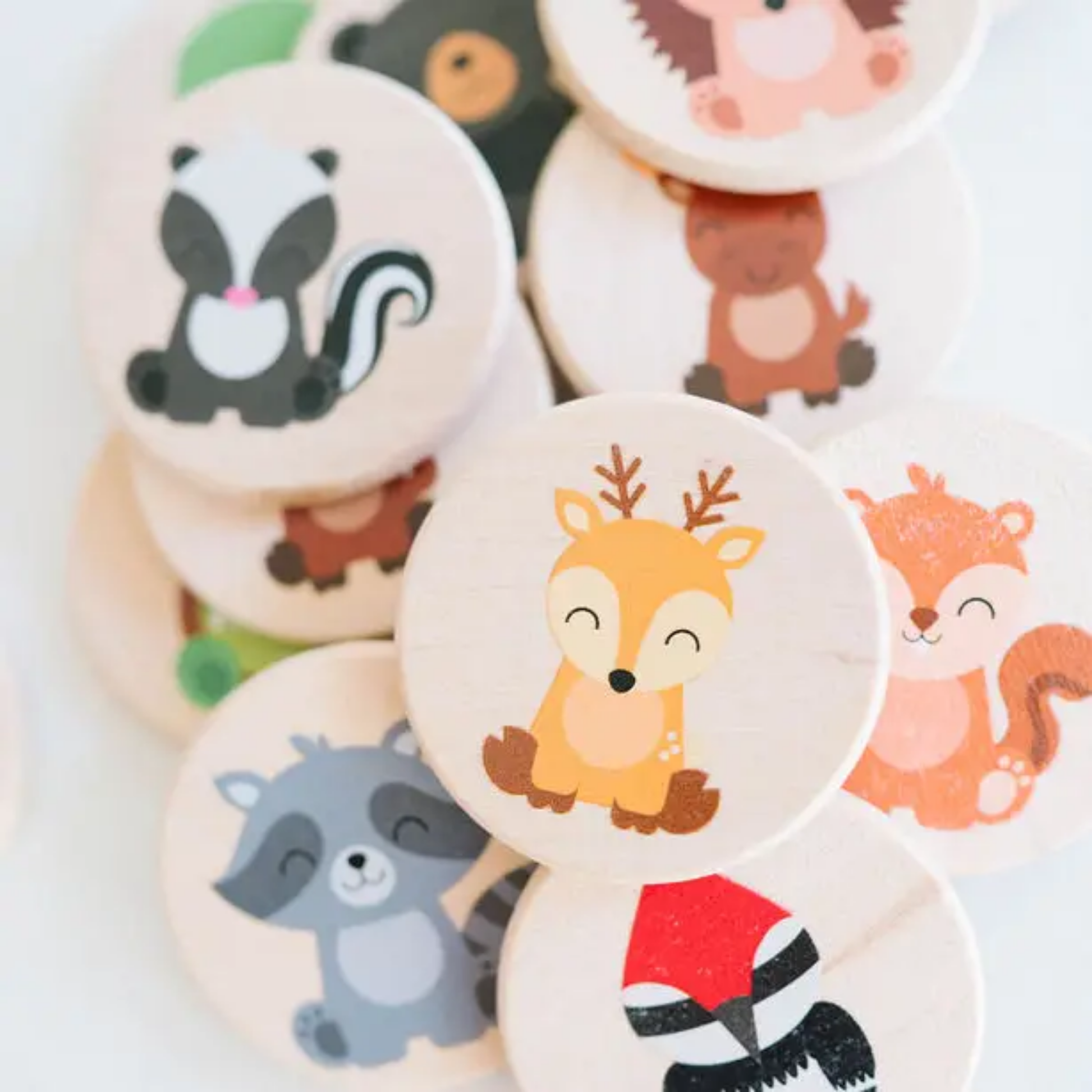 Woodland Matching Game - Town Pride State College