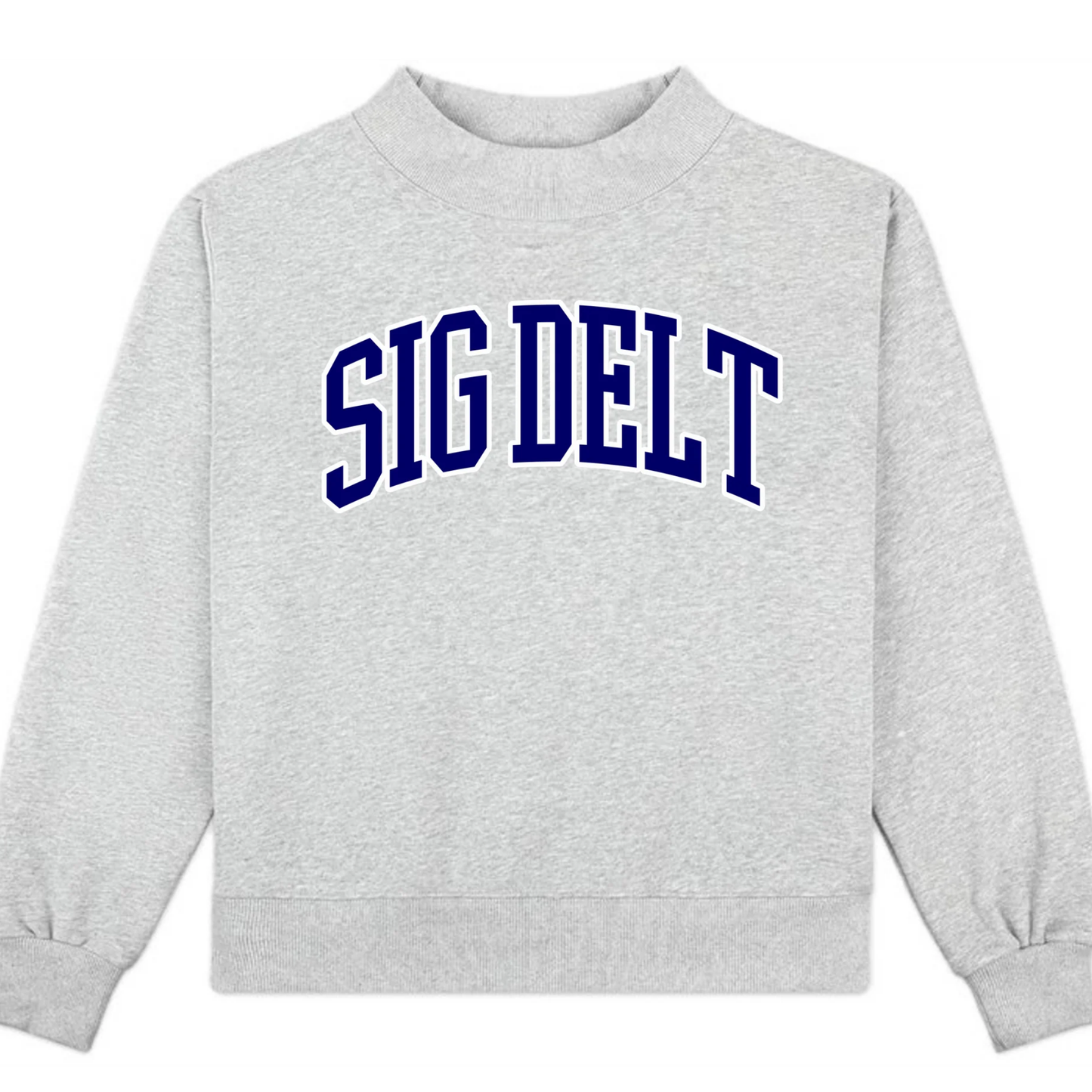 Gray sweatshirt with 'SIG DELT' text in blue on a white background