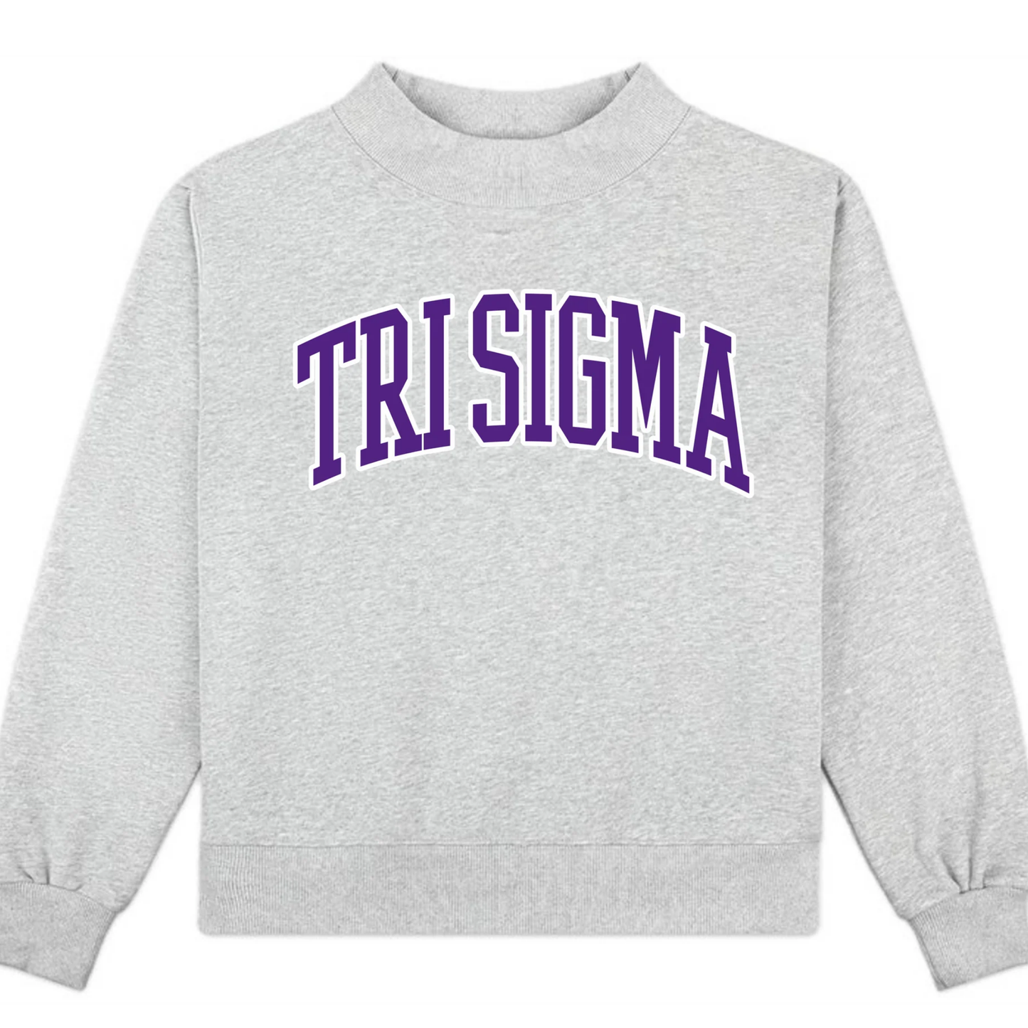 Gray sweatshirt with 'TRISIGMA' in purple text on a white background